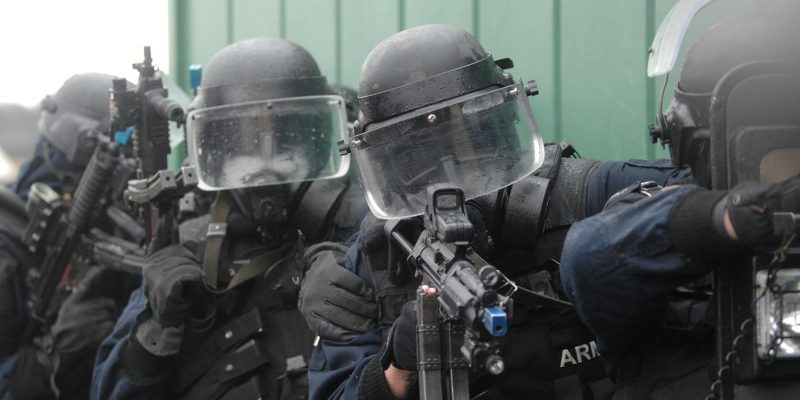 What is the role of the Irish Army Ranger Wing?